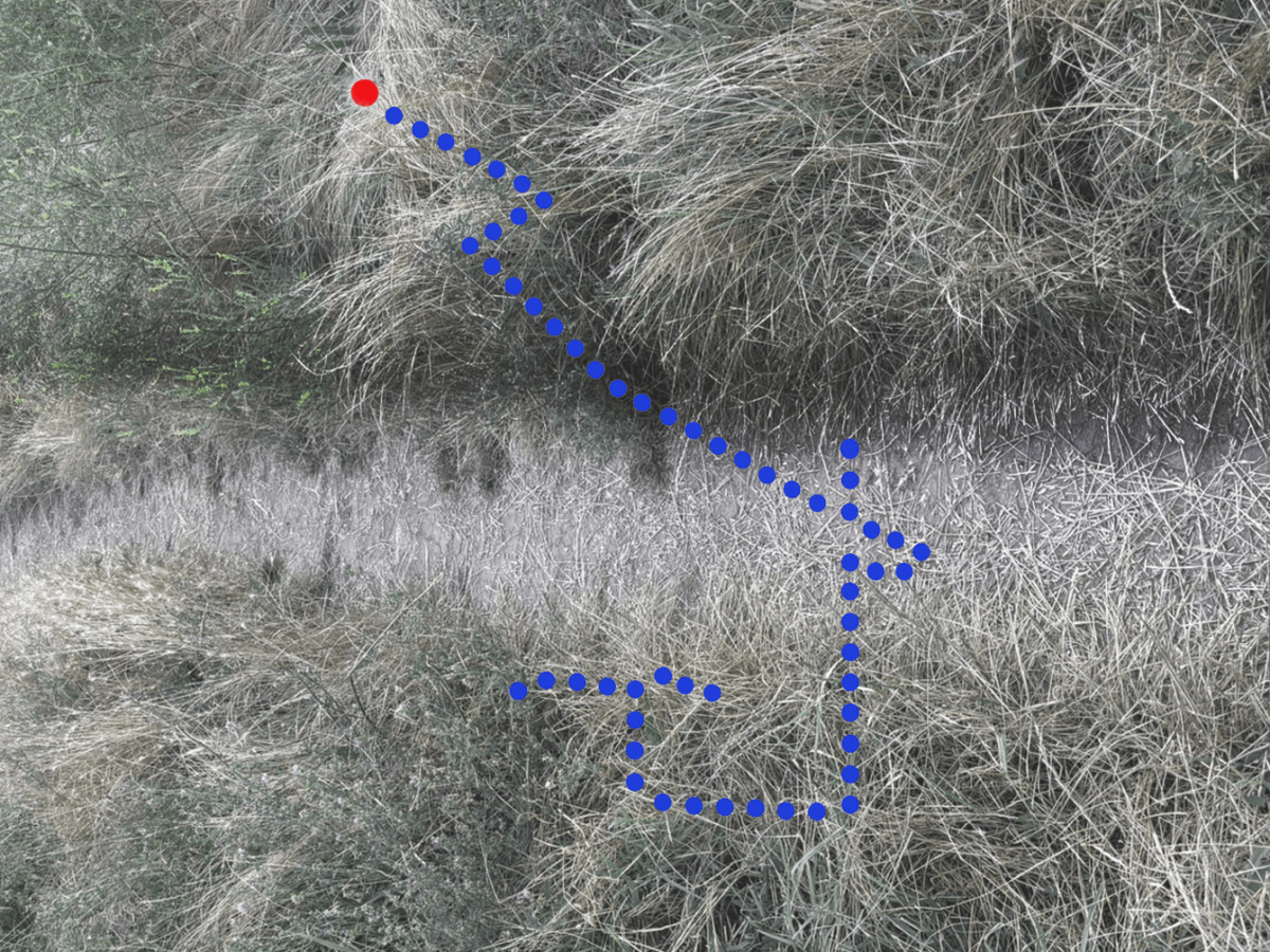 Tur ghidat al posibilităților din&nbsp;IOR