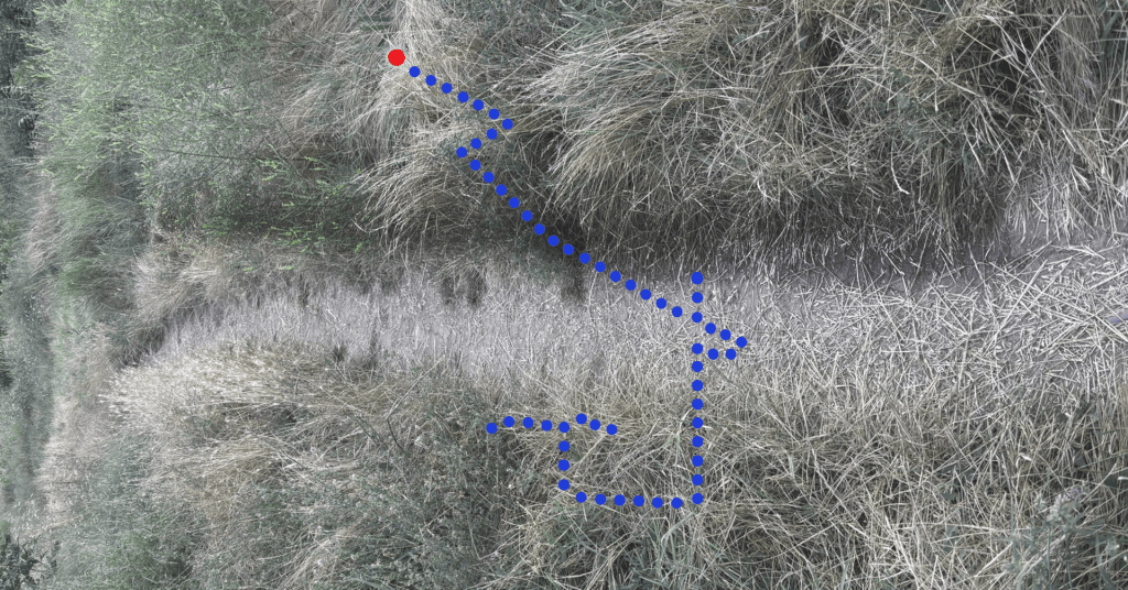 Tur ghidat al posibilităților din&nbsp;IOR