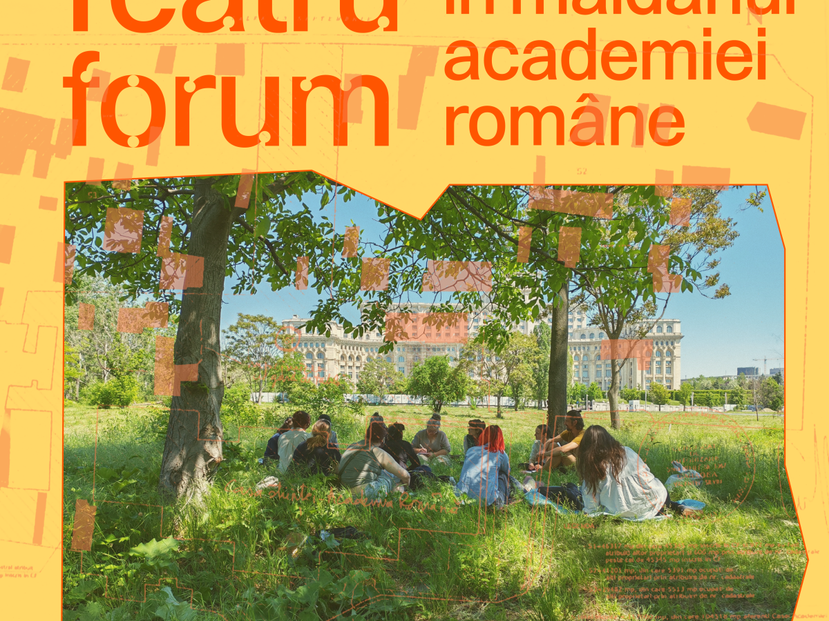 Teatru forum în maidanul academiei&nbsp;române