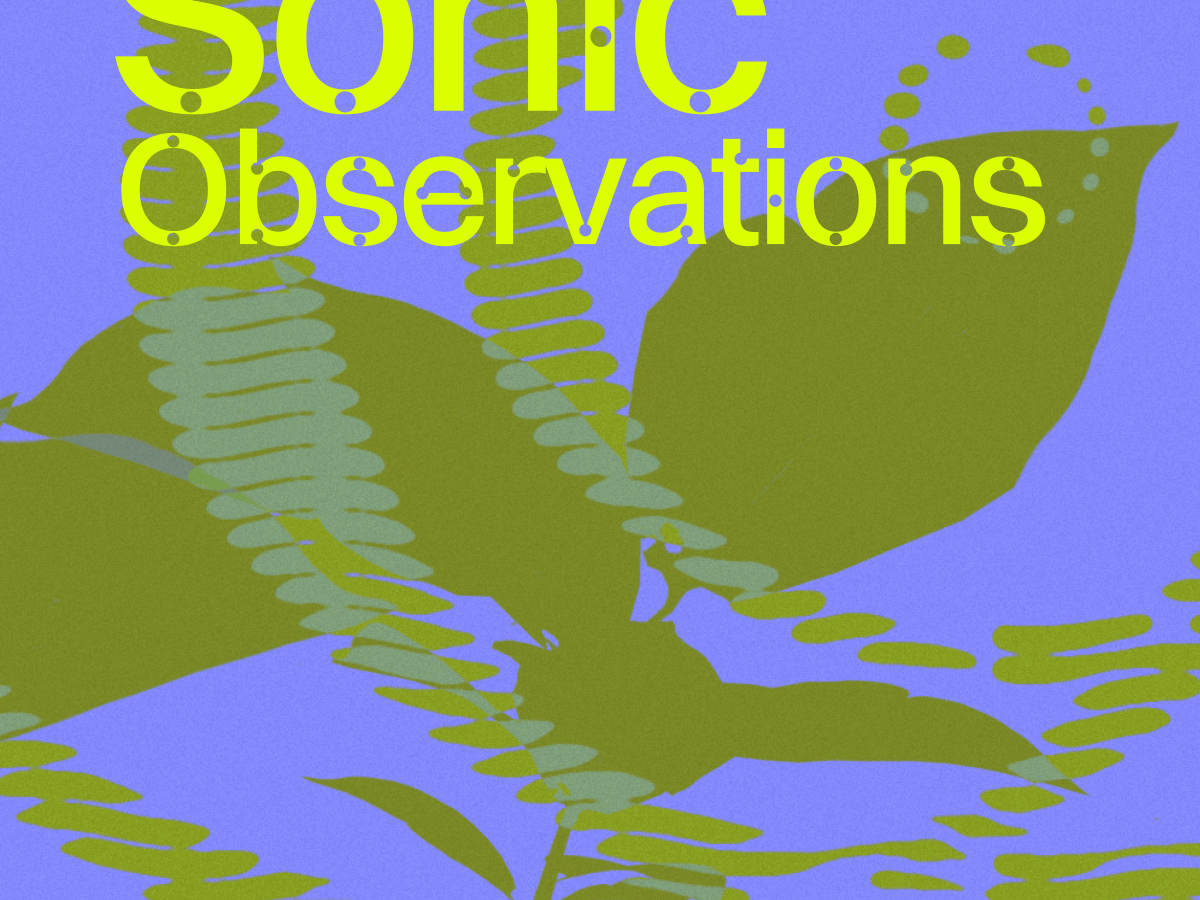 Atelier: Sonic Observations