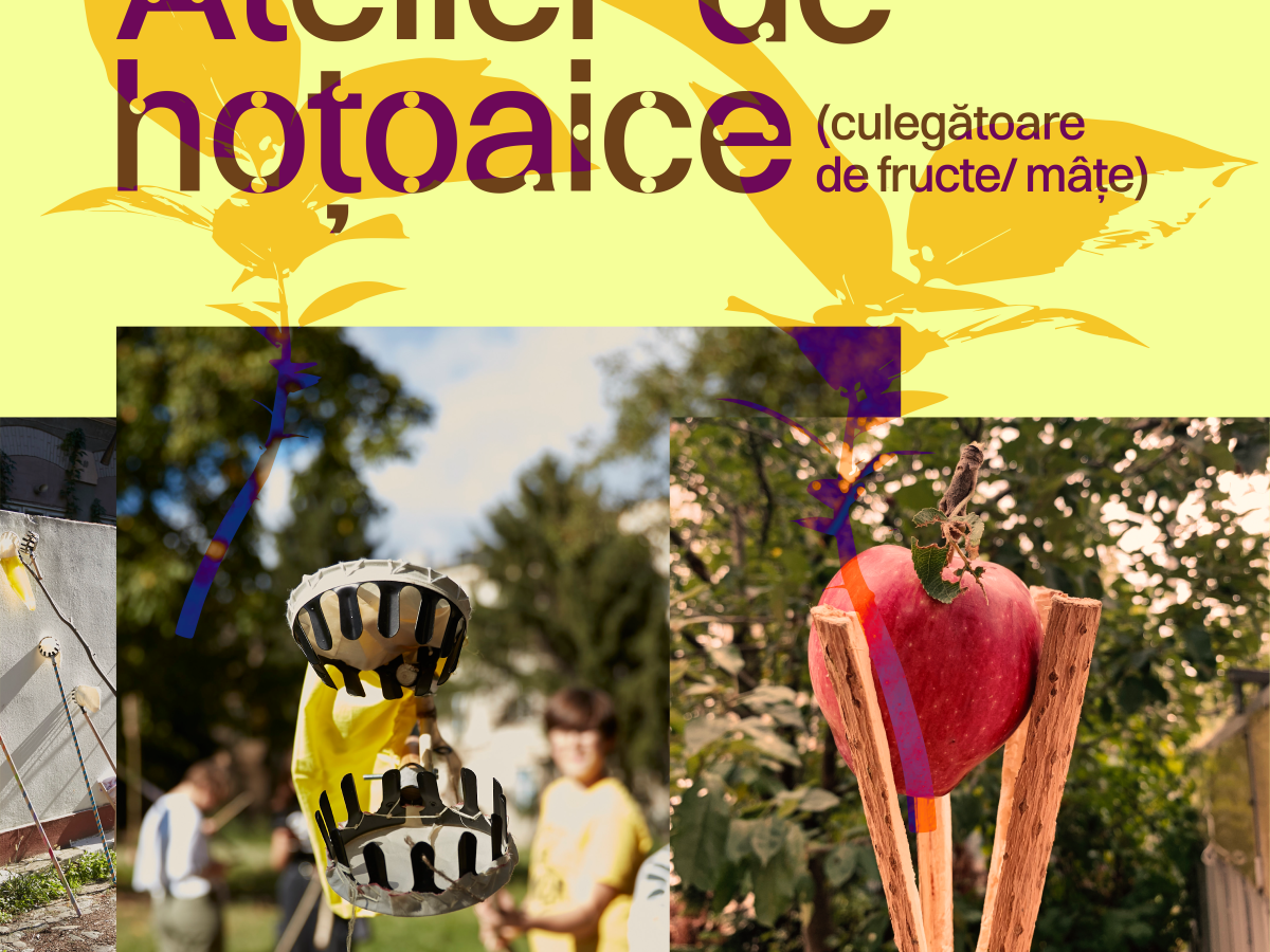 Culegătoare de fructe/ mâțe cu Dan&nbsp;Vezentan