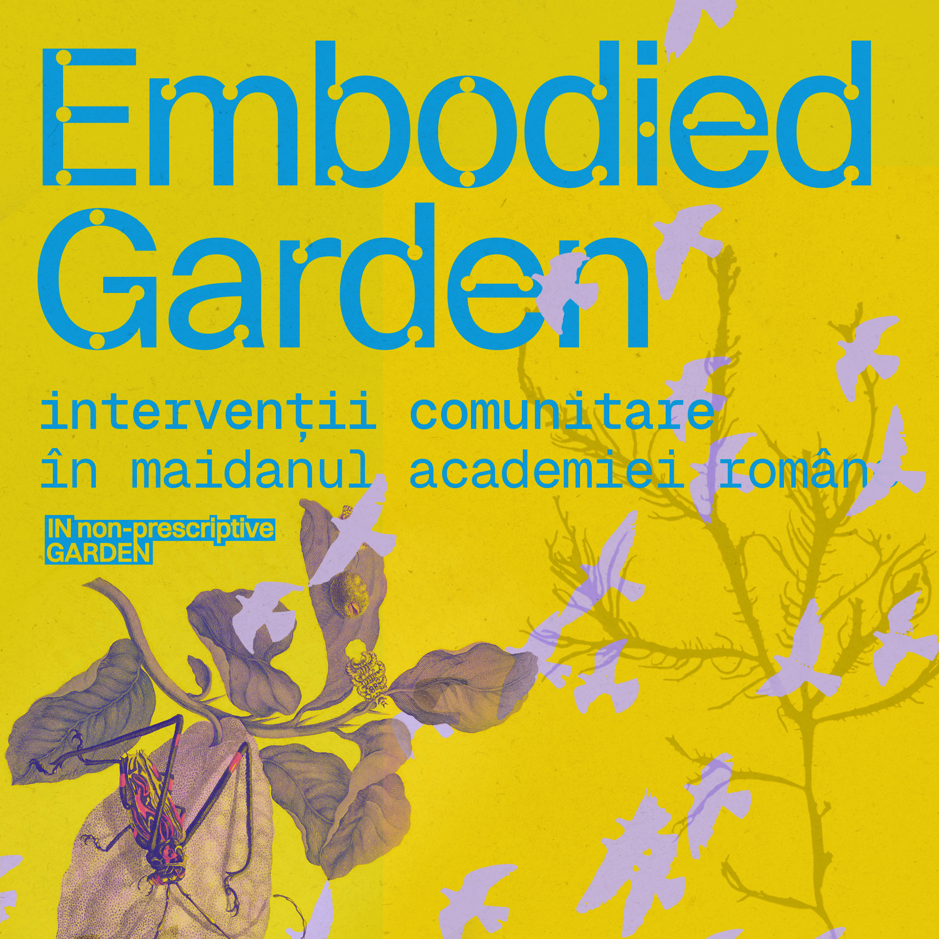 Embodied Garden – intervenții&nbsp;comunitare
