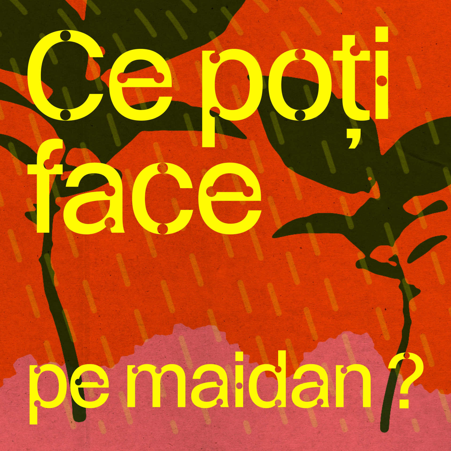 Ce poți face pe&nbsp;maidan?